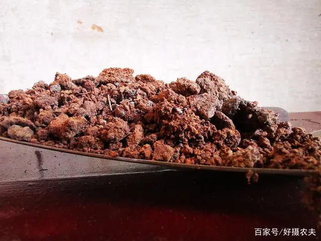 致富羊药杀虫用什么药好_山羊杀虫药_致富经羊杀虫用什么药