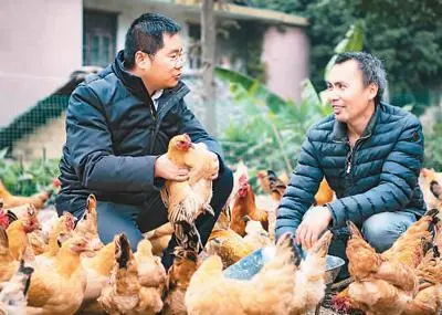 农场女靠养殖黑鸡致富_农村致富网养殖业养鸡_农业节目致富经养殖鸡视频