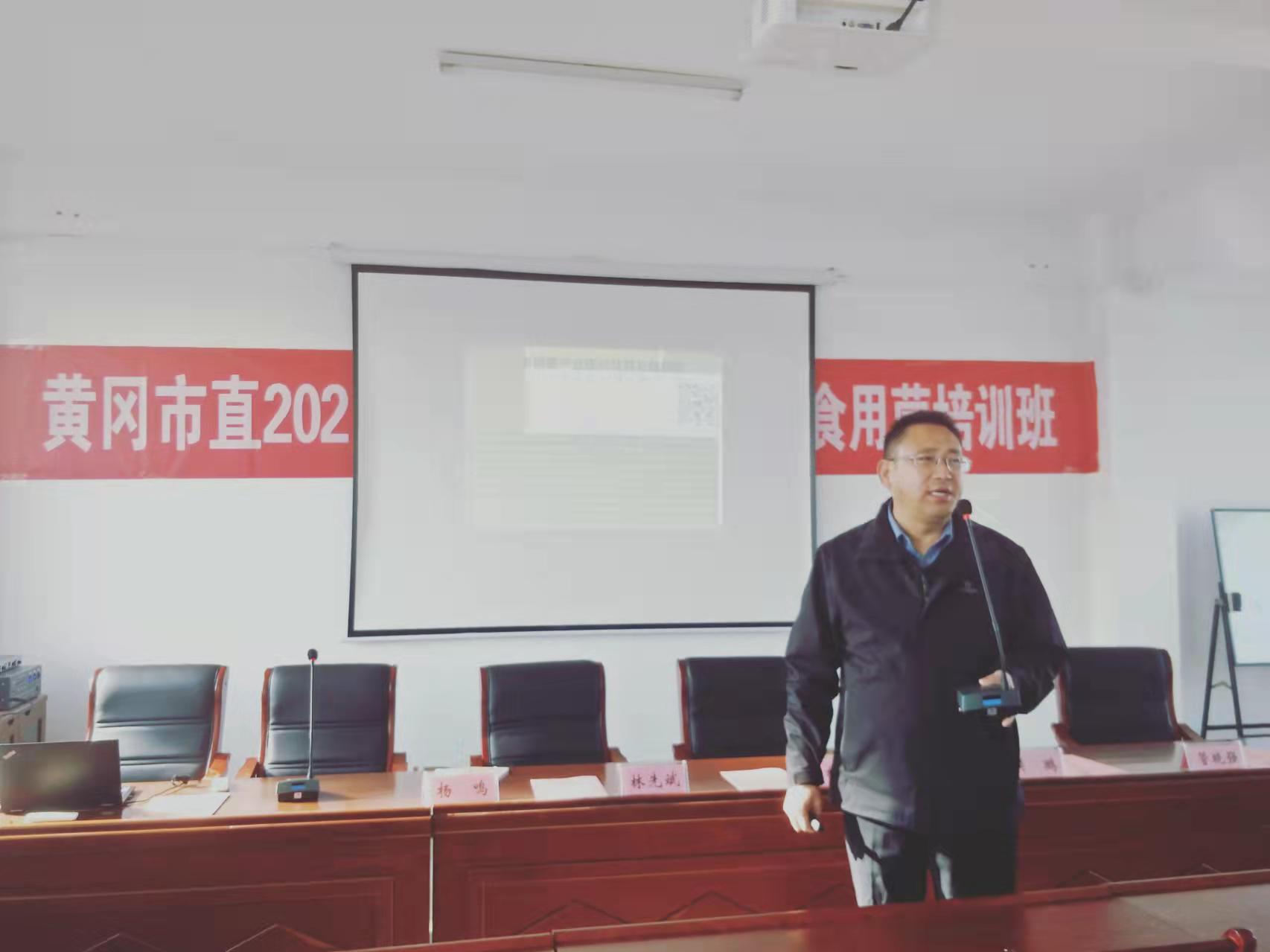 黄冈种植致富_适合湖北黄冈种植的20种水果_黄冈中药材种植