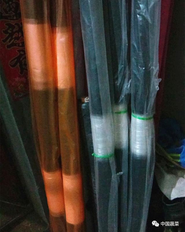 小兰西瓜的种植技术_西瓜小兰种植技术要点_小兰西瓜大棚种植技术