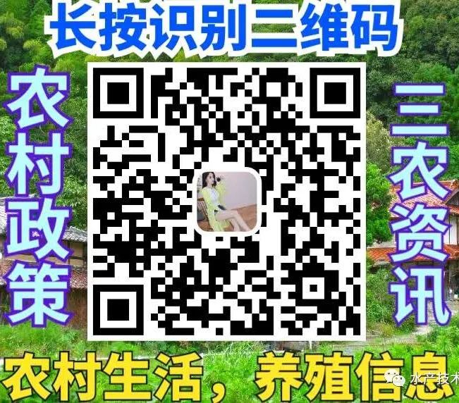 养殖致富的原因_养殖致富之路_致富养殖好项目大全