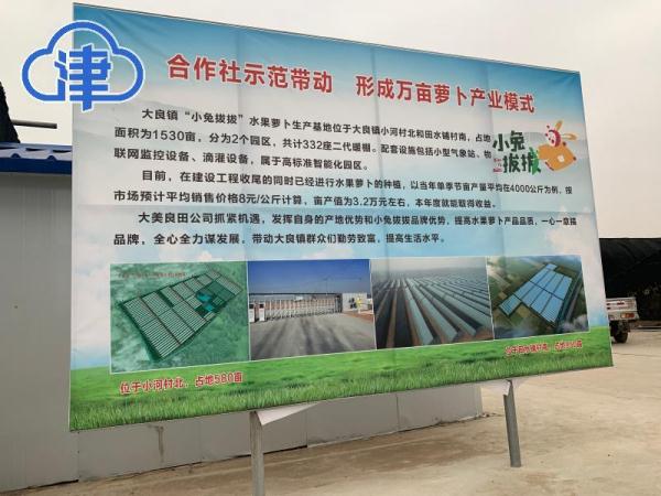 致富经大棚全集_致富经大棚种植致富经2020_致富经大棚养猪