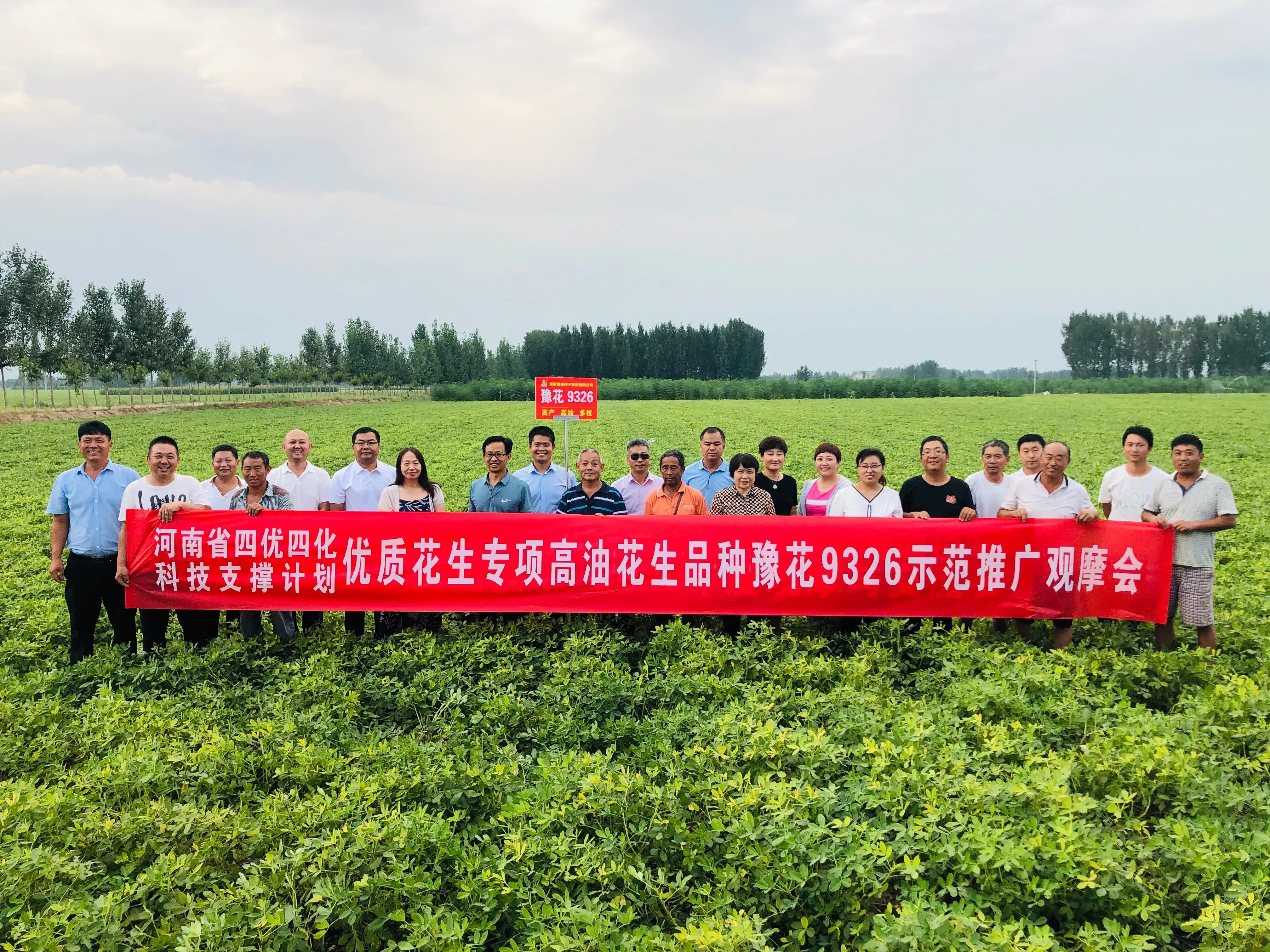 优质作物推广成效及经验_如何推广作物品种_推广农作物