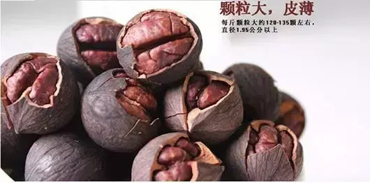 山核桃，为什么会这么贵？