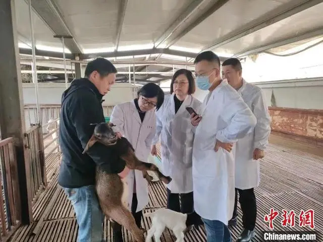 致富养殖之路图片大全_致富养殖网_养殖致富之路图