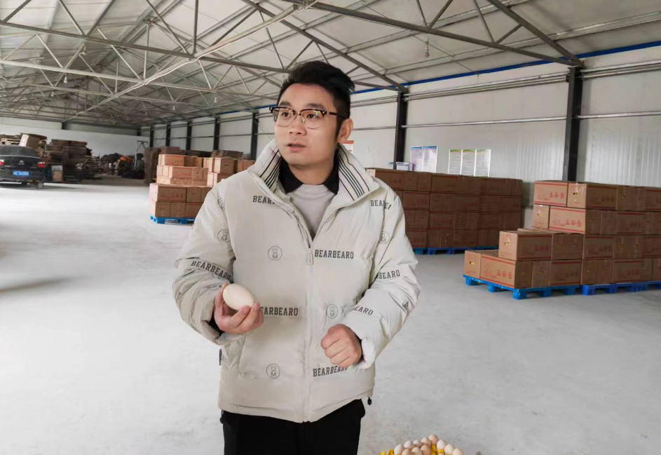 致富养殖斗鸡故事简介_致富经养殖斗鸡_致富经斗鸡养殖致富故事