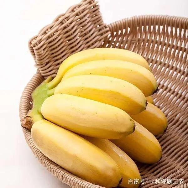 这个香蕉越小越贵，皇帝蕉不难种，这些问题解决好你也可以种出来