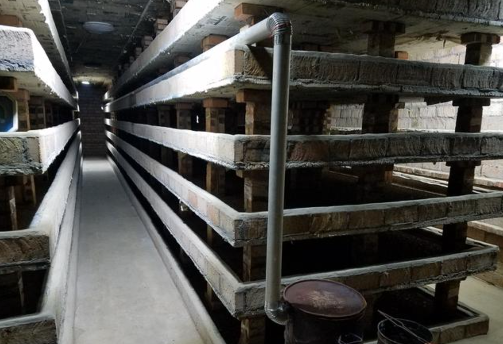 致富虫养殖食用方法_致富经养虫子鸡视频全集_食用虫养殖致富