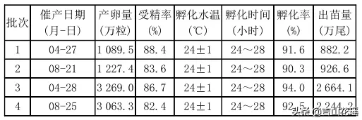 养殖台湾泥鳅不愁销路_全套养殖泥鳅台湾技术提供什么_提供台湾泥鳅全套养殖技术