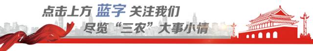 鸡蛋种植致富项目_致富鸡蛋种植项目怎么样_致富经蛋鸡养殖视频