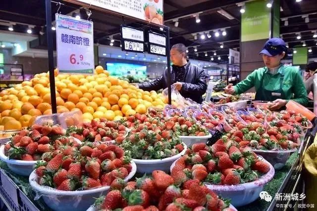 农村秸秆的致富经_秸秆养猪视频_秸秆养殖致富视频