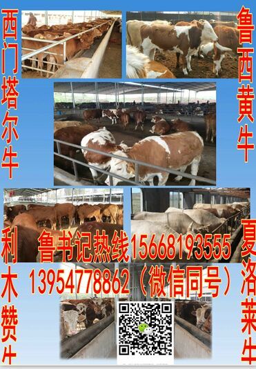 骨头熬什么最有营养_熬骨头汤有什么营养_致富经熬骨头