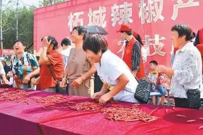 金丝瓜亩产与效益_每日农经致富经金丝瓜_农经致富草鱼养殖视频
