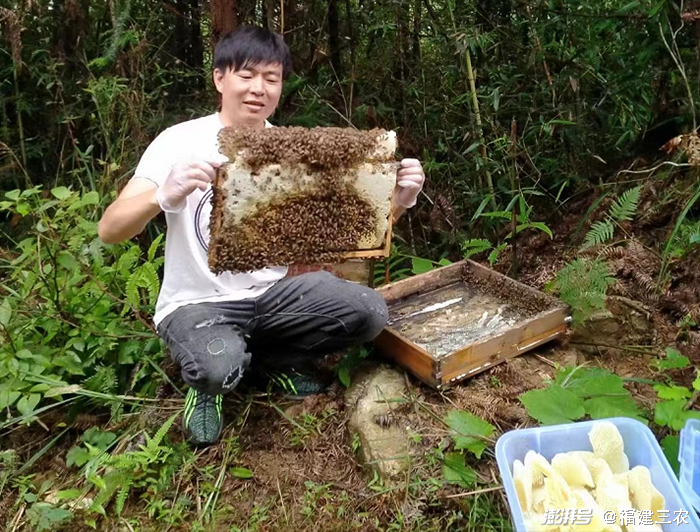 在重庆农村养殖什么赚钱_重庆农村养殖致富_重庆农村养殖政府扶持项目
