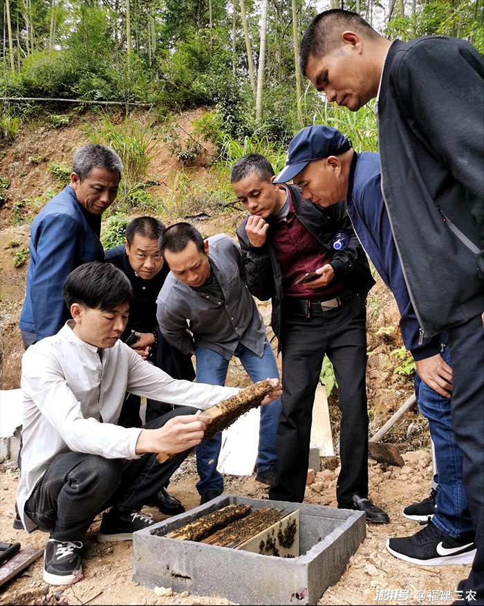 重庆农村养殖致富_重庆农村养殖政府扶持项目_在重庆农村养殖什么赚钱