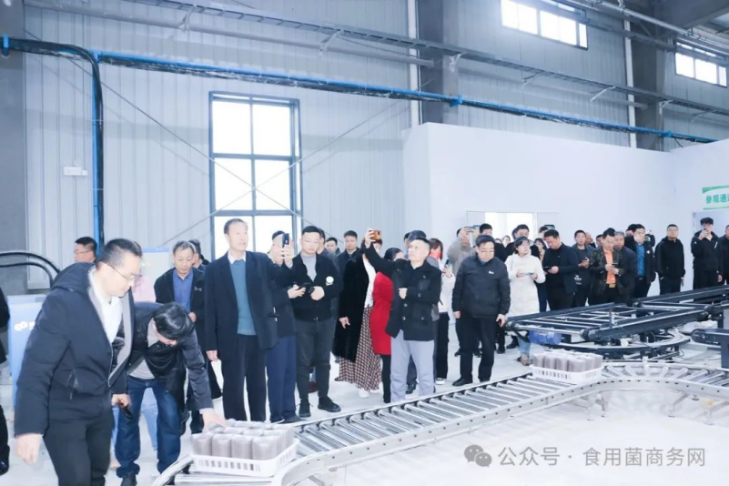 种植致富新项目_安徽利辛适合种什么果树_利辛种植致富项目