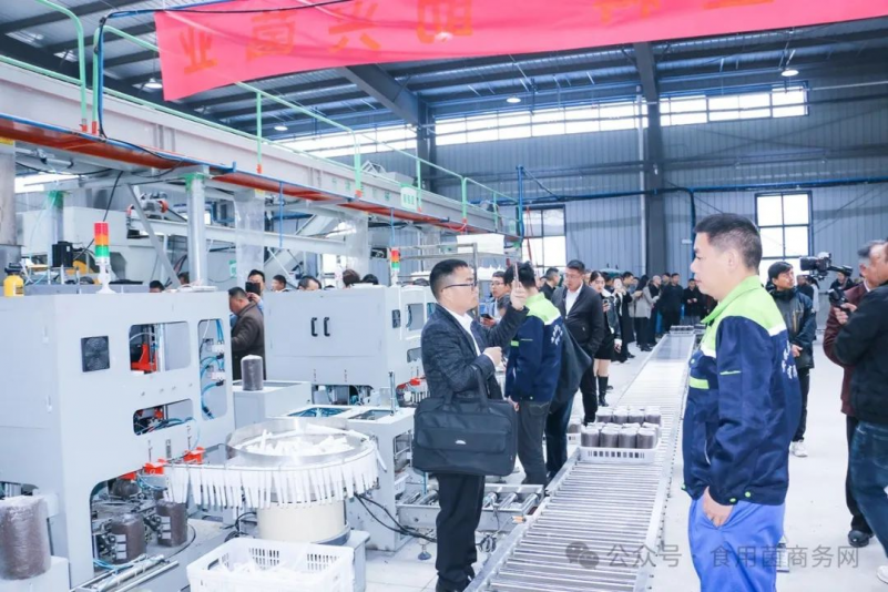安徽利辛适合种什么果树_种植致富新项目_利辛种植致富项目