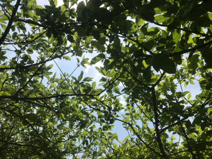 致富养殖语_怎样写家庭养殖致富经过_致富养殖业