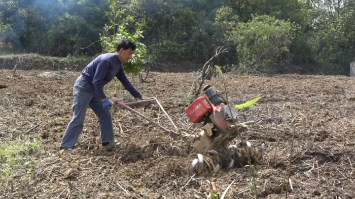 致富养殖业_致富养殖语_怎样写家庭养殖致富经过