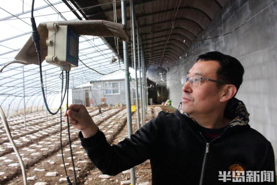 2017致富经 羊肚菌_cctv7羊肚菌致富经_致富经羊肚菌种植视频全集