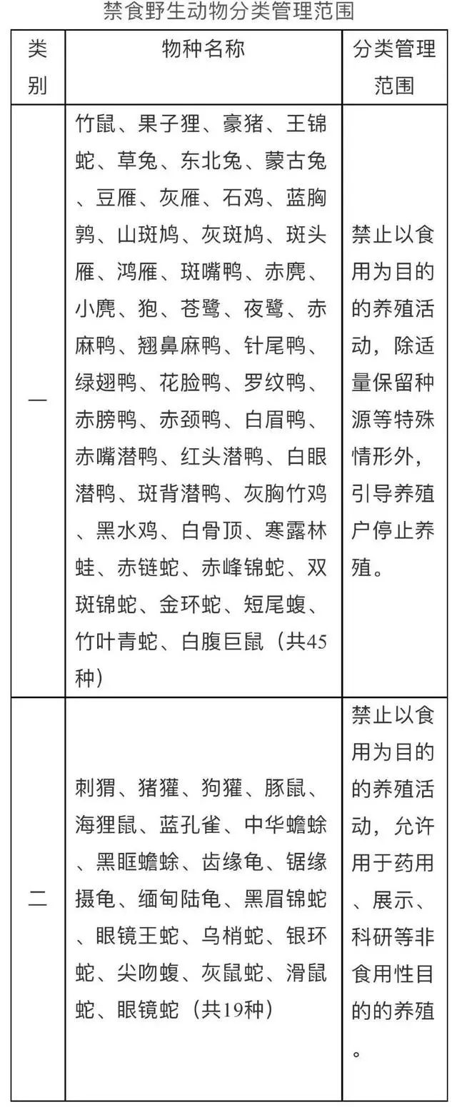 果子狸养殖户_果子狸人工养殖_果子狸养殖技术视频