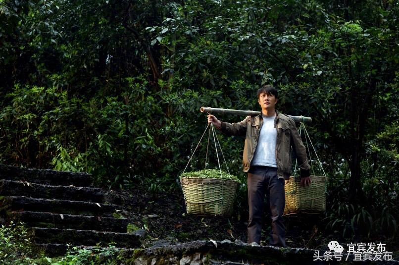 潘远香养牛视频_潘远香联系方式_致富经潘远香是哪一期