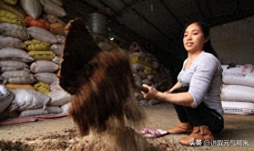 靠“四肢爬行”女子潘远香，怀孕被丈夫抛弃，养牛年入百万变富婆