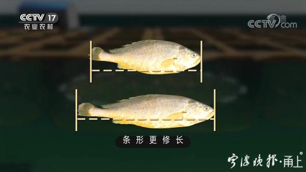 中央二台致富节目_中央电视台致富经王浩_中央电视台致富经