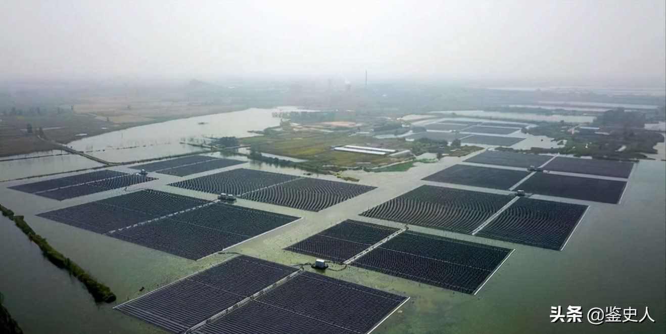 致富淡水养鱼图片_淡水养殖什么鱼利润高_淡水养鱼致富经