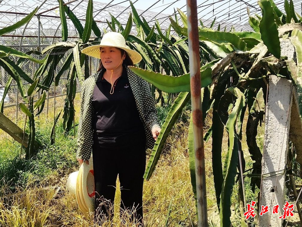 “幸福就是一家人齐心奋斗”，陪读妈妈回乡创办家庭农场奔小康