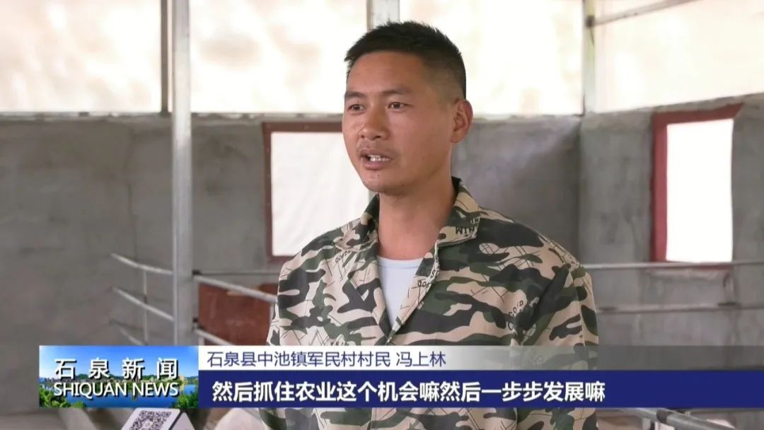 致富经黑山羊放羊创业_致富经养羊黑山羊_致富经养黑山羊视频播放