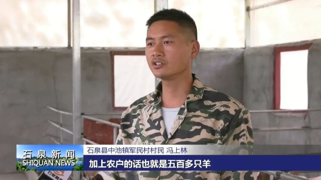 致富经黑山羊放羊创业_致富经养羊黑山羊_致富经养黑山羊视频播放