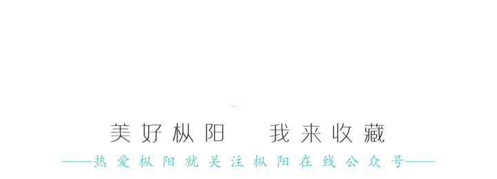 种植假蒌致富_致富种植假蒌果怎么样_假蒌种植方法