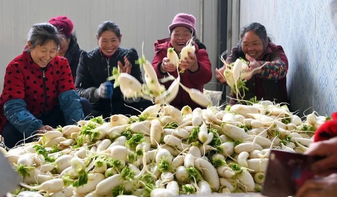 几个有前景的农村种植致富项目_农村致富新项目种植_小型农村种植致富