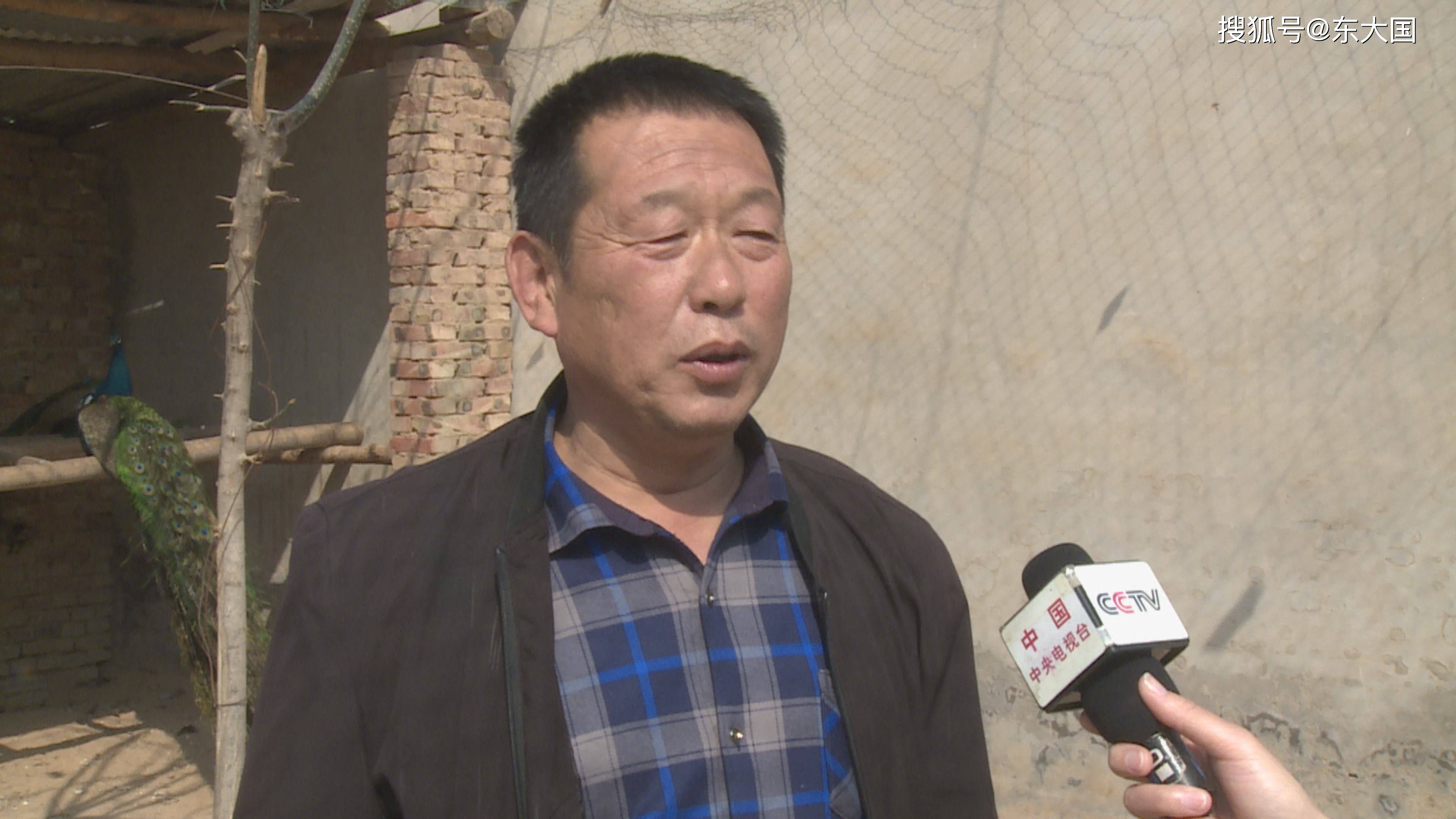 致富经鸡屁股_致富经鸡屁股_致富经鸡屁股