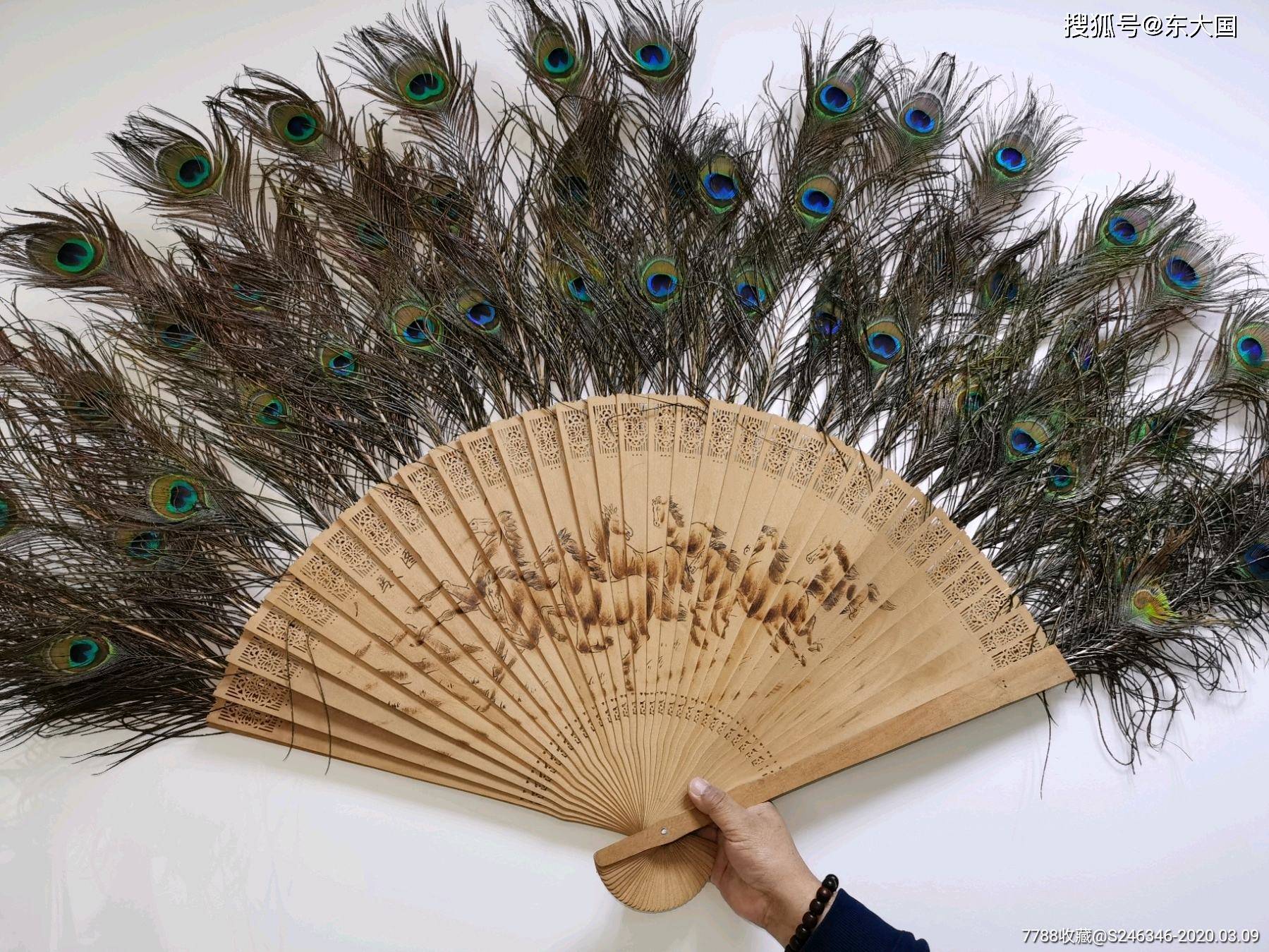 致富经鸡屁股_致富经鸡屁股_致富经鸡屁股