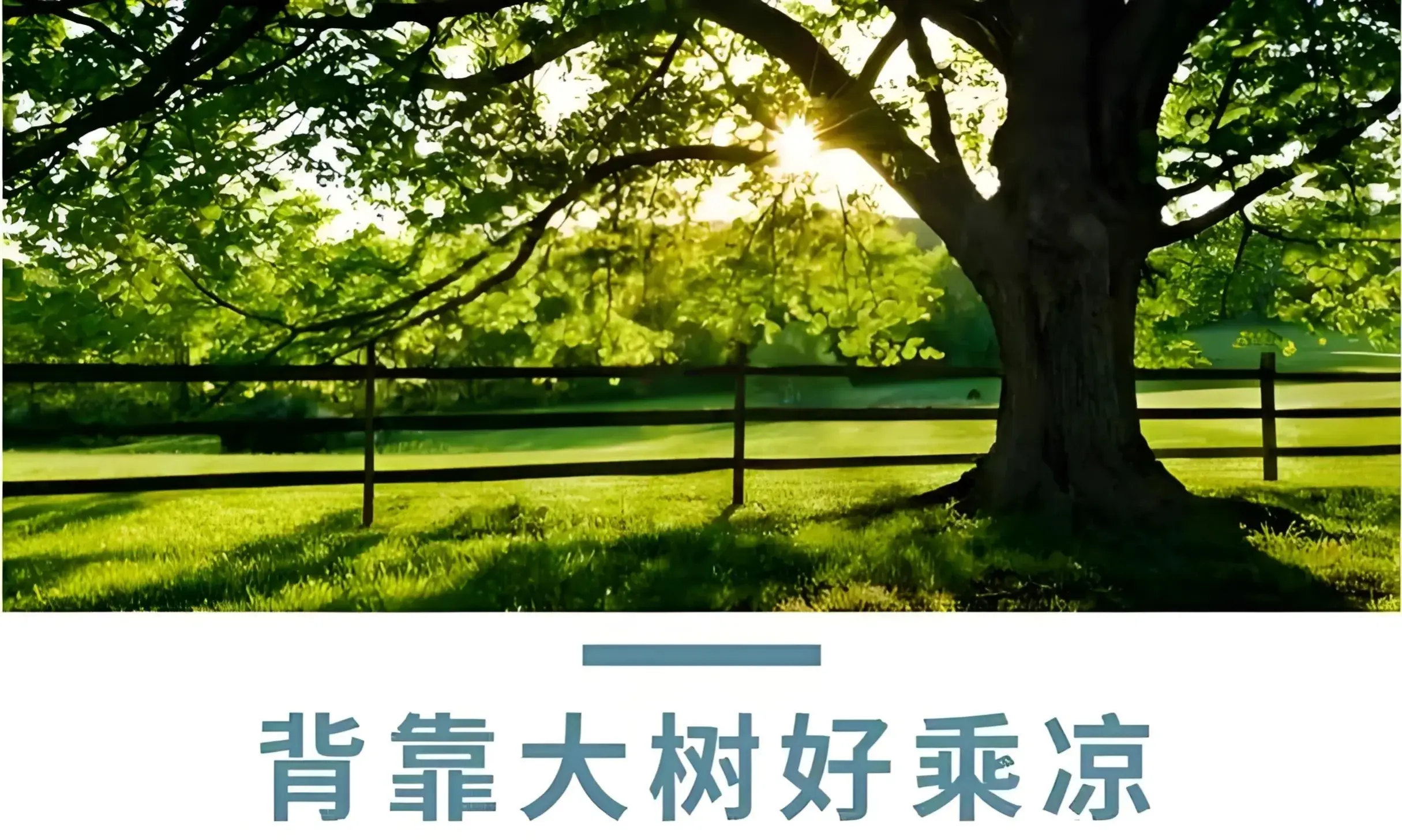 优质公司如何选取经验_选取优质经验公司的标准_选取优质经验公司的理由