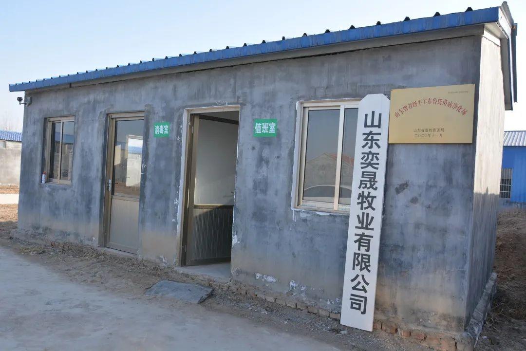 致富经司全军青山羊_致富经养殖青山羊视频_致富经青山羊