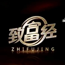 致富经养大雁节目_大雁养殖加盟_养大雁赚钱吗