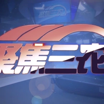 养大雁赚钱吗_致富经养大雁节目_大雁养殖加盟