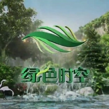 大雁养殖加盟_致富经养大雁节目_养大雁赚钱吗