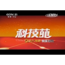 养大雁赚钱吗_大雁养殖加盟_致富经养大雁节目