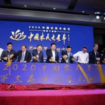 大雁养殖加盟_致富经养大雁节目_养大雁赚钱吗