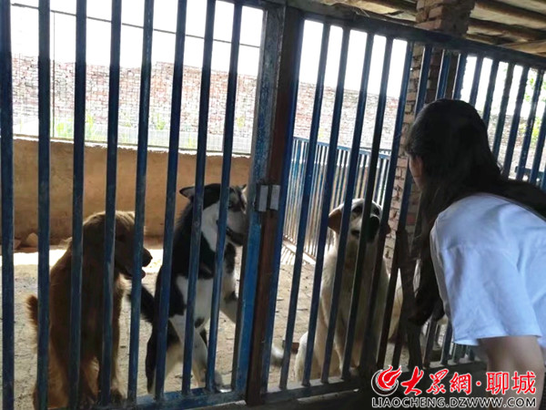 致富例子养殖土狗图片_致富经土狗养殖_土狗养殖致富例子