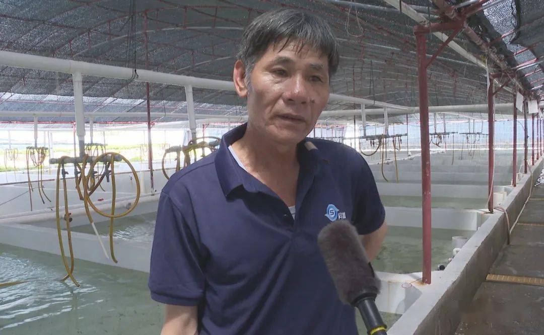 养殖海马幼苗纹线技术视频_线纹海马幼苗养殖技术_养殖海马幼苗纹线技术要点