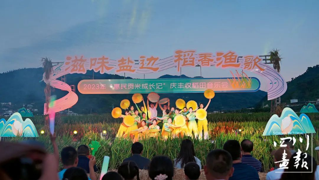 种植魔芋技术栽种方法_种植魔芋技术与病虫害预防_魔芋种植技术cctv7