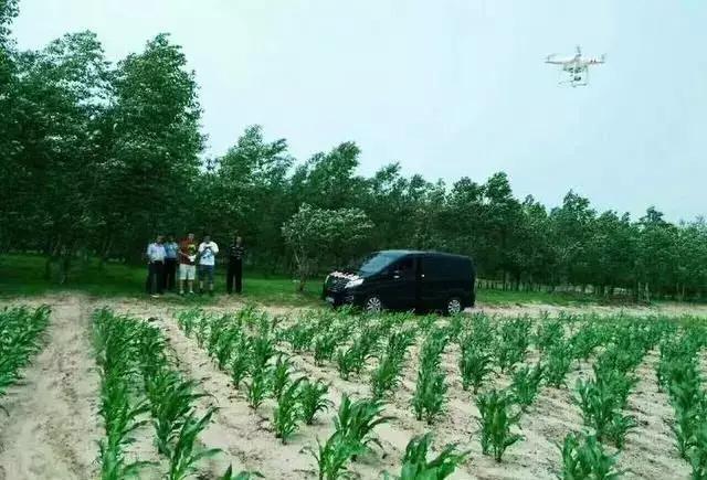 玉米施肥种植技术视频_玉米施肥种植技术要点_玉米种植施肥技术