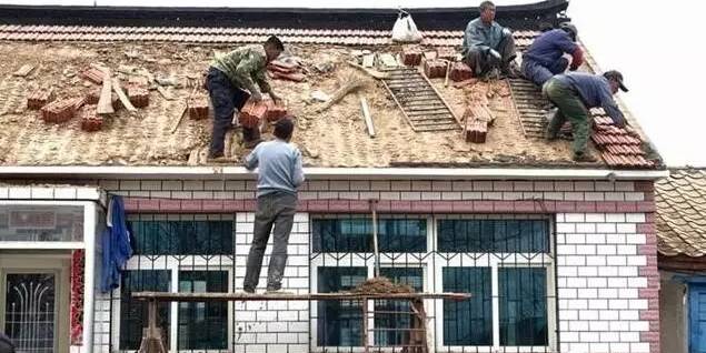 河南许昌蔬菜种植基地_河南许昌适合种植什么_许昌农村种植致富