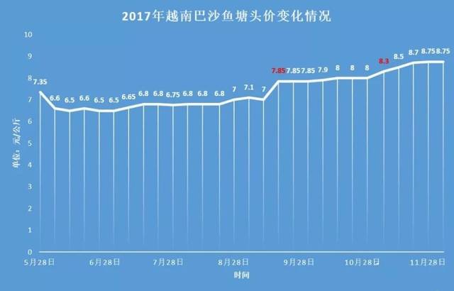 巴沙鱼养殖技术视频_致富养殖鱼巴沙鱼怎么样_巴沙鱼养殖致富