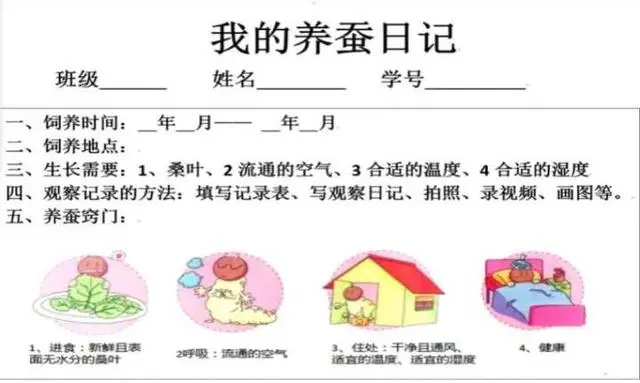 致富卖养蚕蚕茧为什么不卖_养蚕致富新出路_致富经养蚕不为卖蚕茧